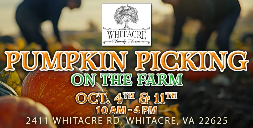Advertisement for "Pumpkin Picking on the Farm" at Whitacre Family Farms. Event on October 4th and 11th, 10 AM-4 PM, Whitacre, VA.
