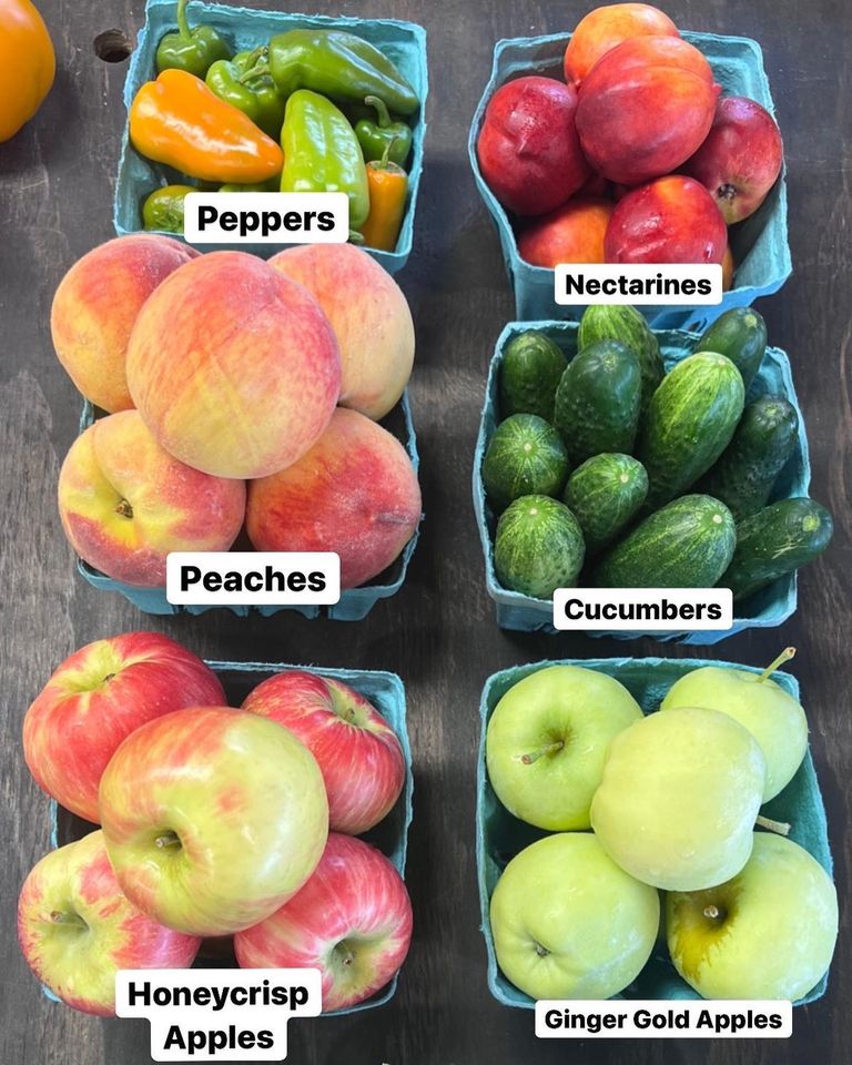August in season fruits and veggies