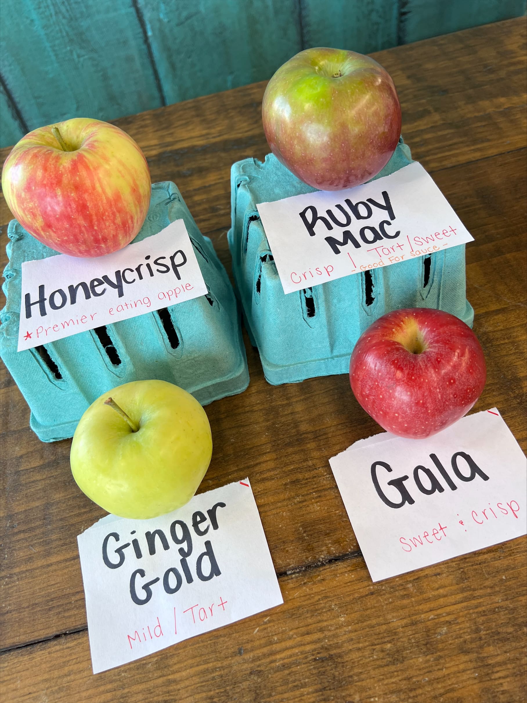 August Apple Varieties