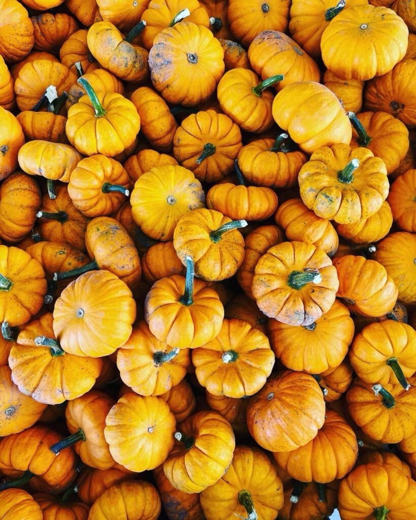 September pumpkins