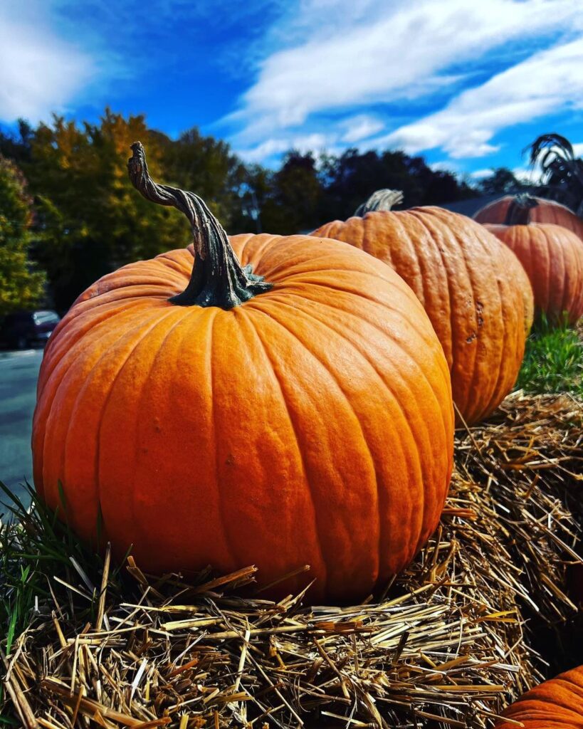 October, large pumpkins