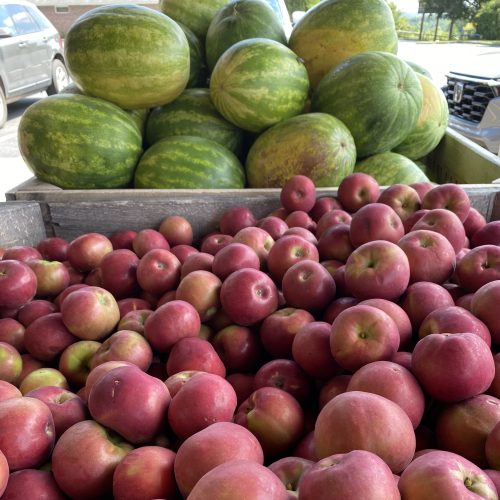 McIntosh Apples and Watermelon